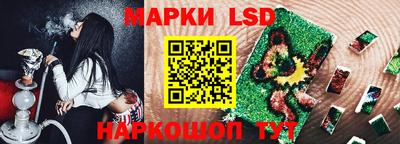 МДПВ Кингисепп
