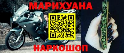МДПВ Кингисепп