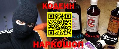 МДПВ Кингисепп